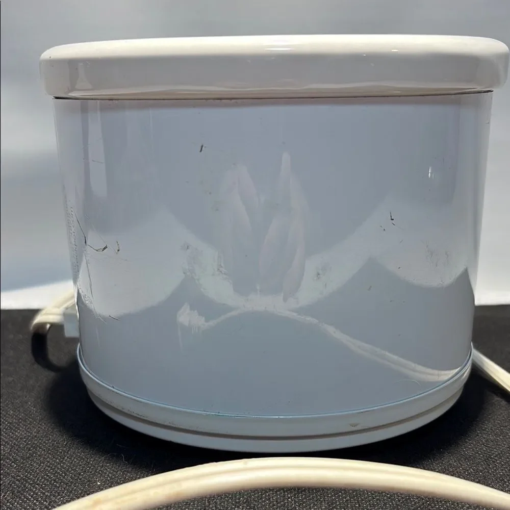 Crock Pot little dipper